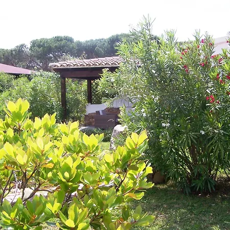 מלון Club Ragno D'oro 3*