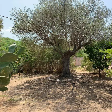 Club Ragno D'oro 3* Olbia Tempio