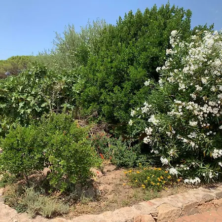 מלון Club Ragno D'oro Olbia Tempio