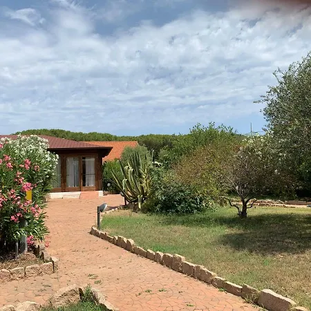 מלון Club Ragno D'oro 3*