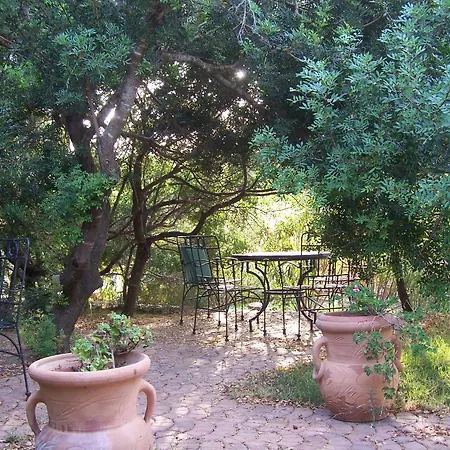 Club Ragno D'oro