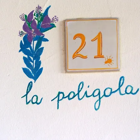 Hotell Club Ragno D'oro 3*