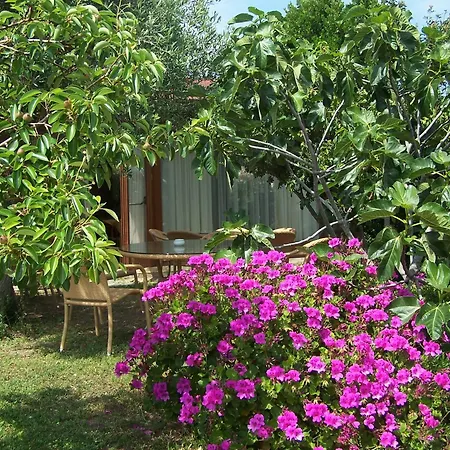 Otel Club Ragno D'oro