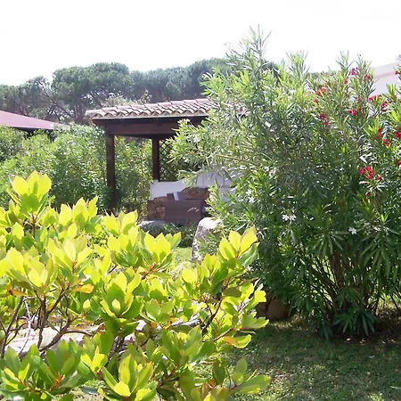 Hotel Club Ragno D'oro 3*