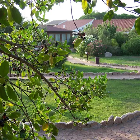 Hotel Club Ragno D'oro 3*